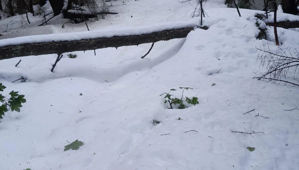 © DAV Berchtesgaden