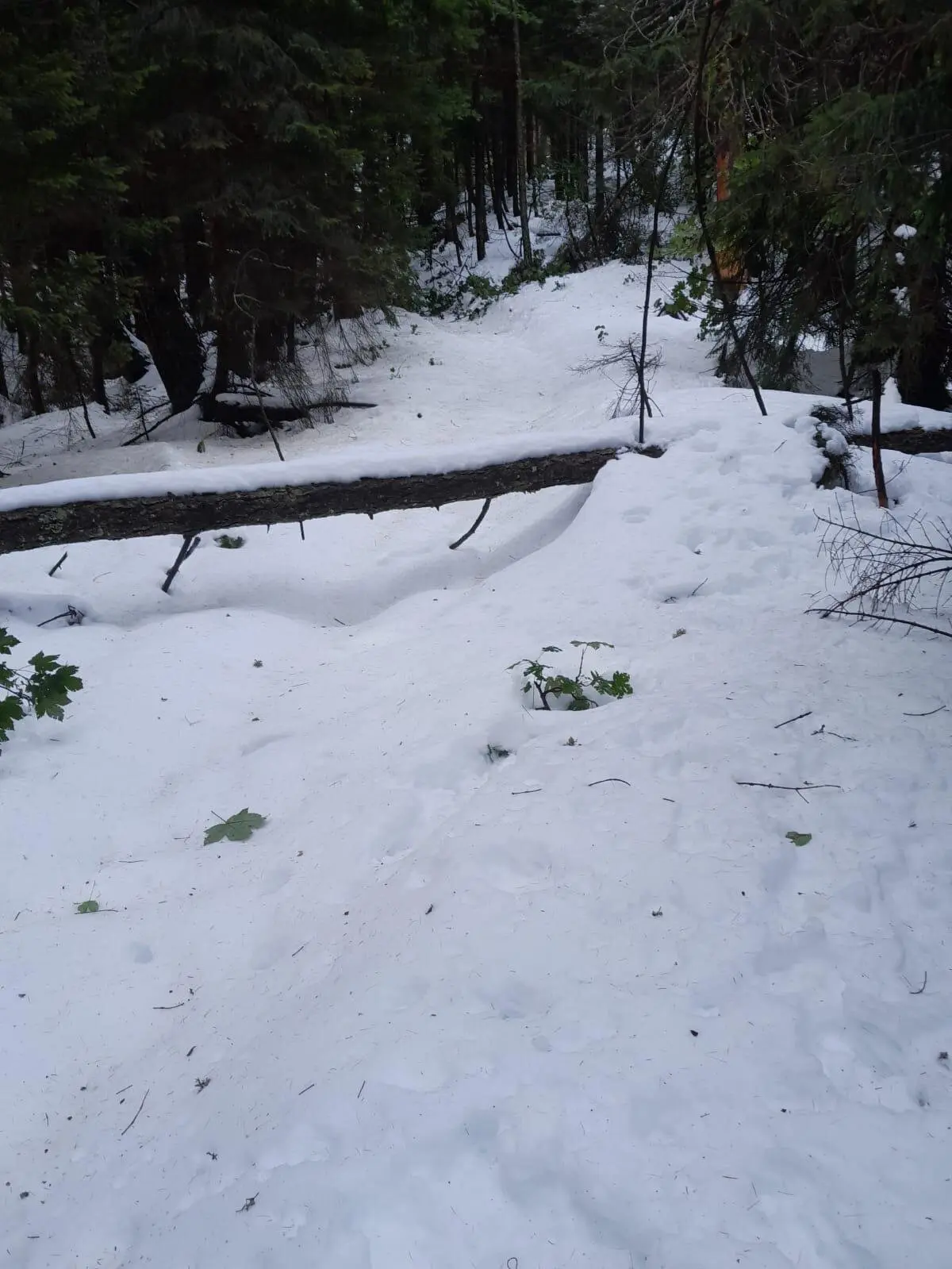 © DAV Berchtesgaden