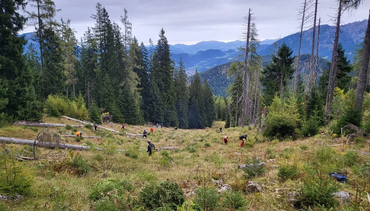 © DAV Berchtesgaden