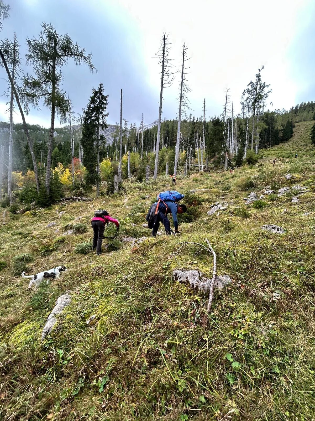 © DAV Berchtesgaden