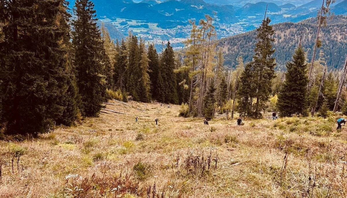 © DAV Berchtesgaden