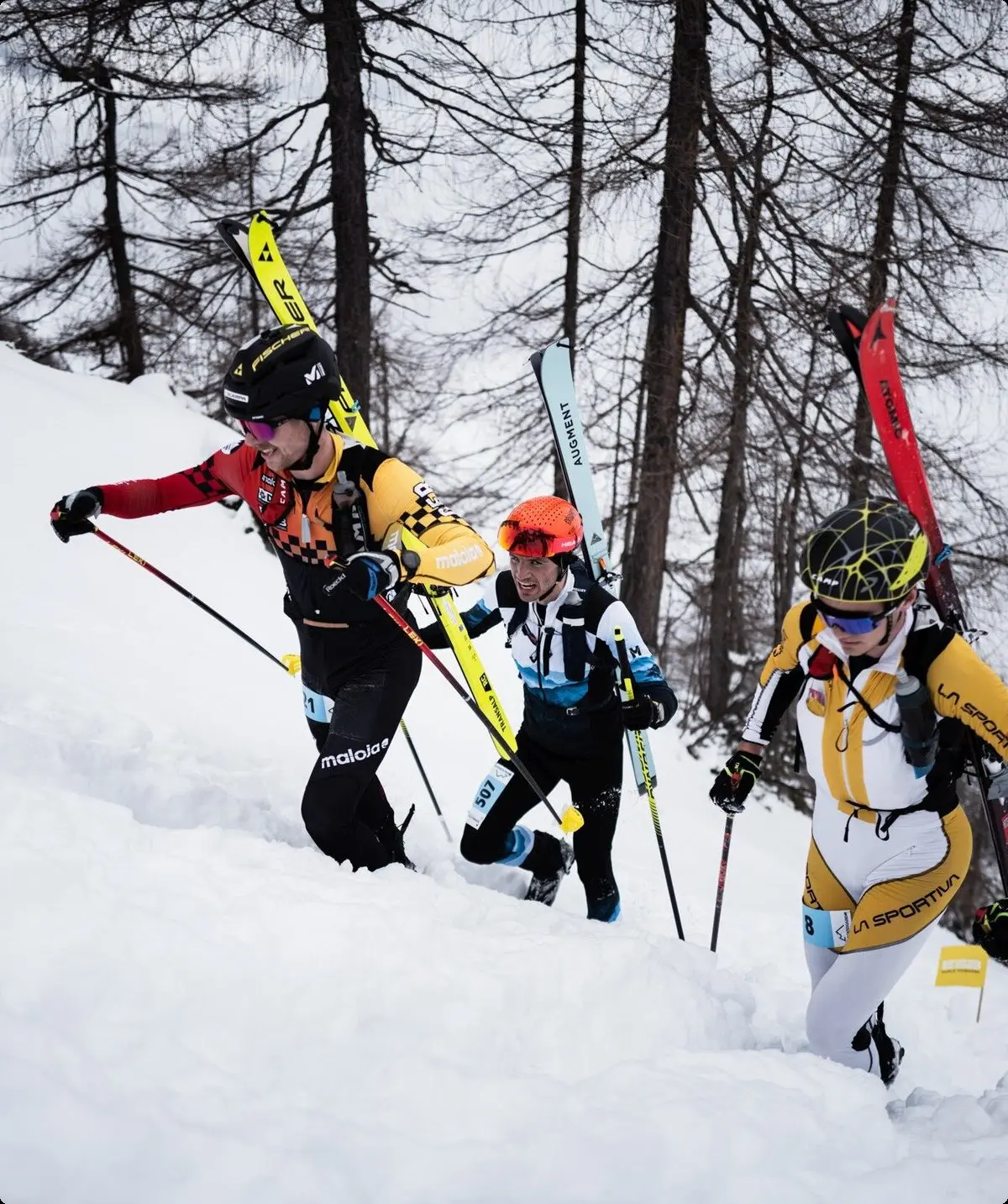 © the.adventure.bakery