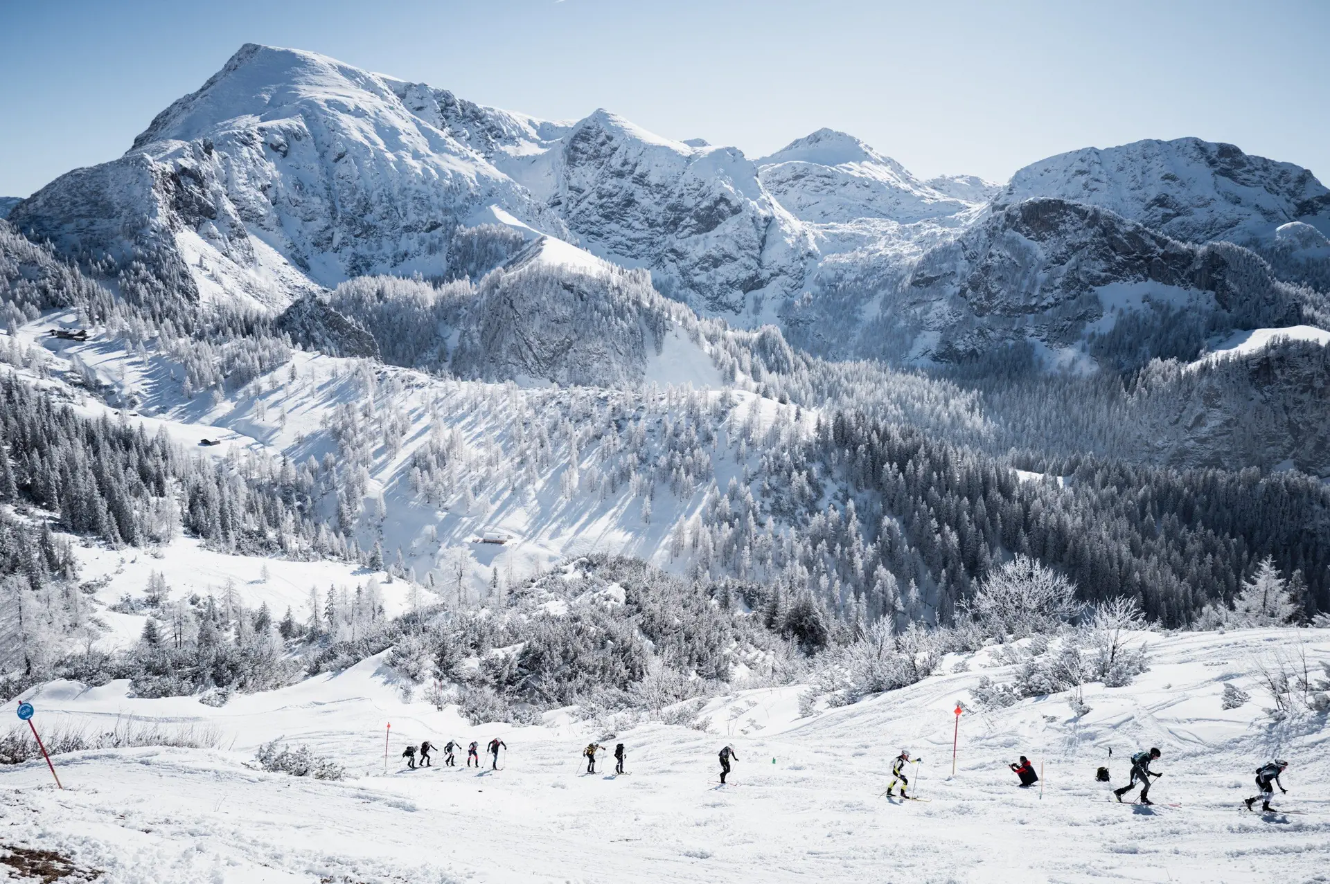 © the.adventure.bakery