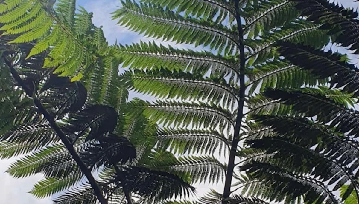 © DAV Berchtesgaden