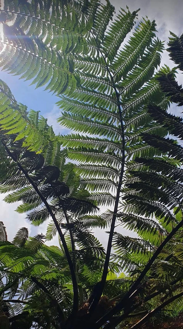 © DAV Berchtesgaden