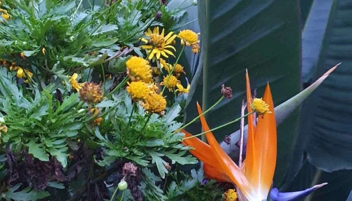 © DAV Berchtesgaden