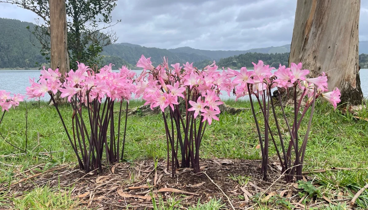 © DAV Berchtesgaden