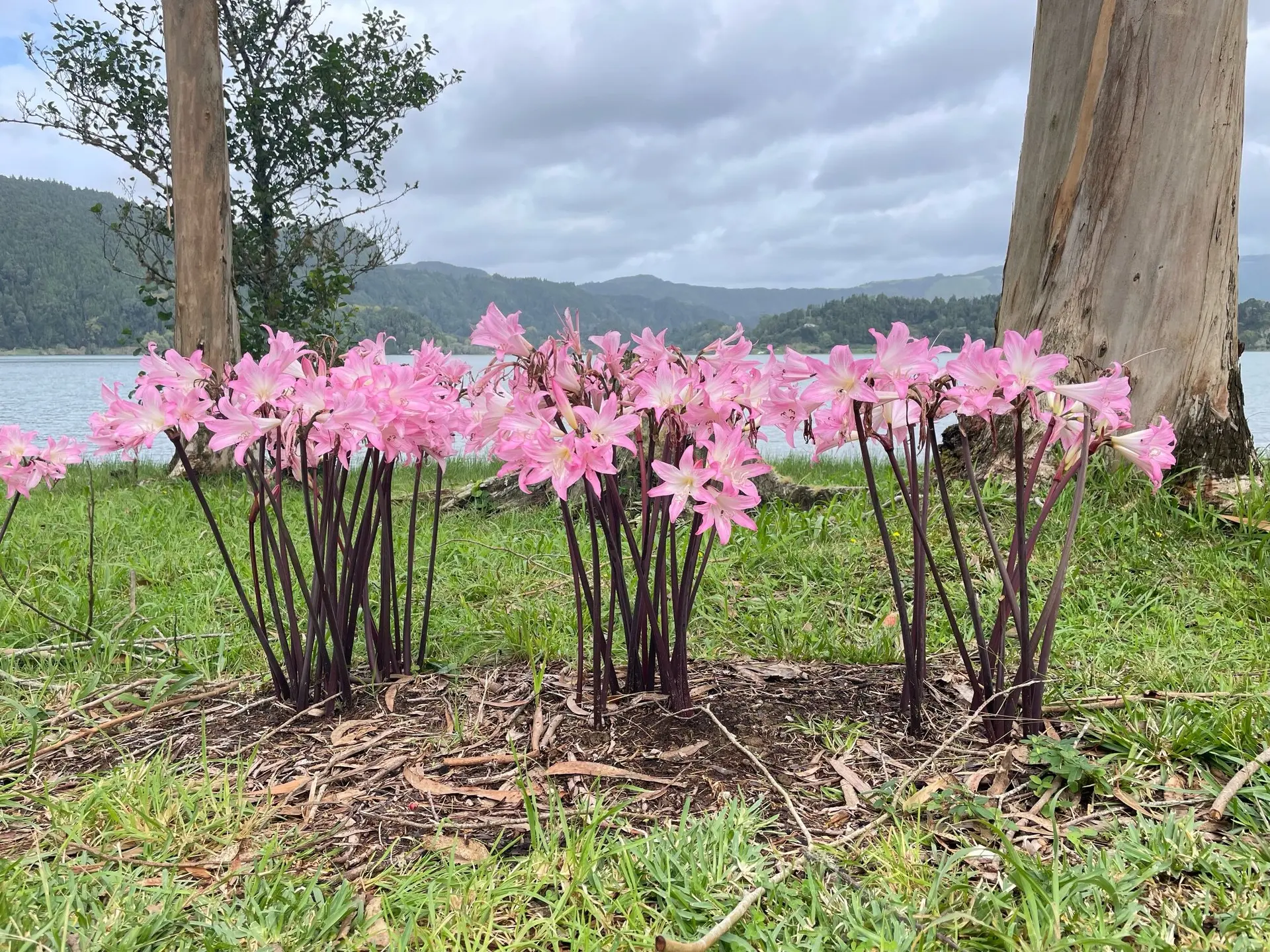 © DAV Berchtesgaden