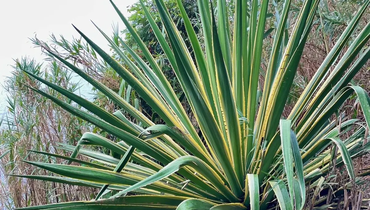 © DAV Berchtesgaden