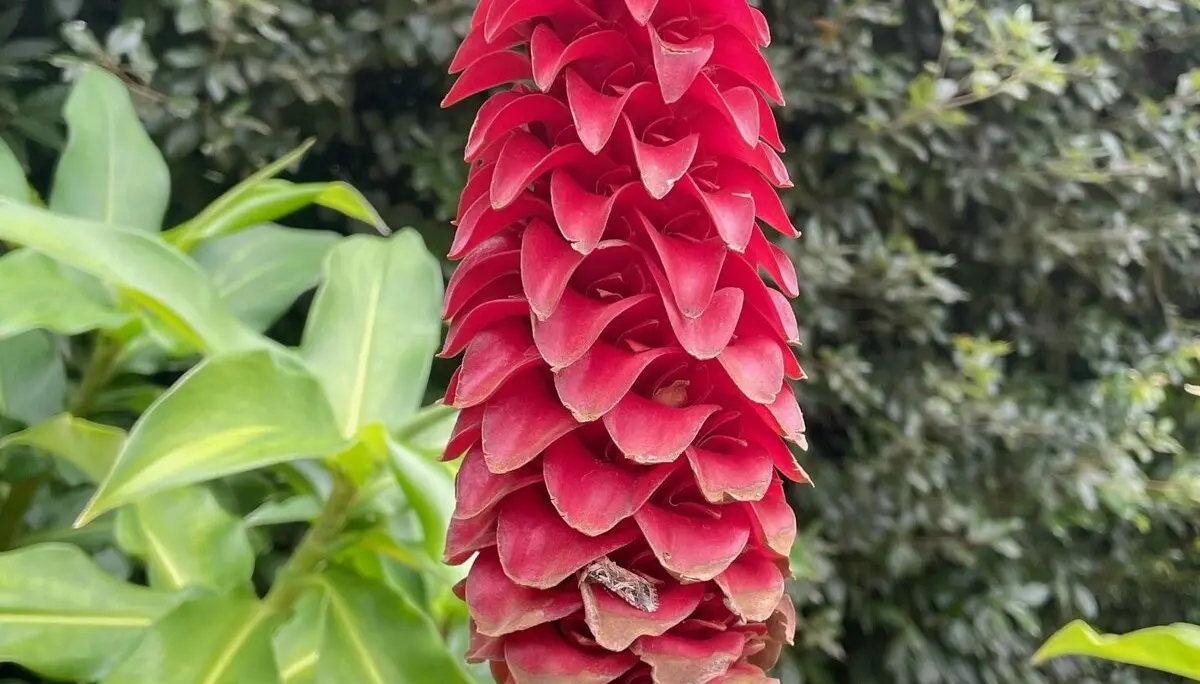 © DAV Berchtesgaden