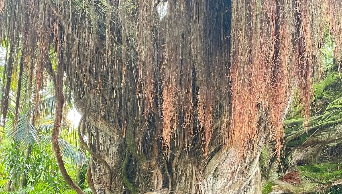 © DAV Berchtesgaden