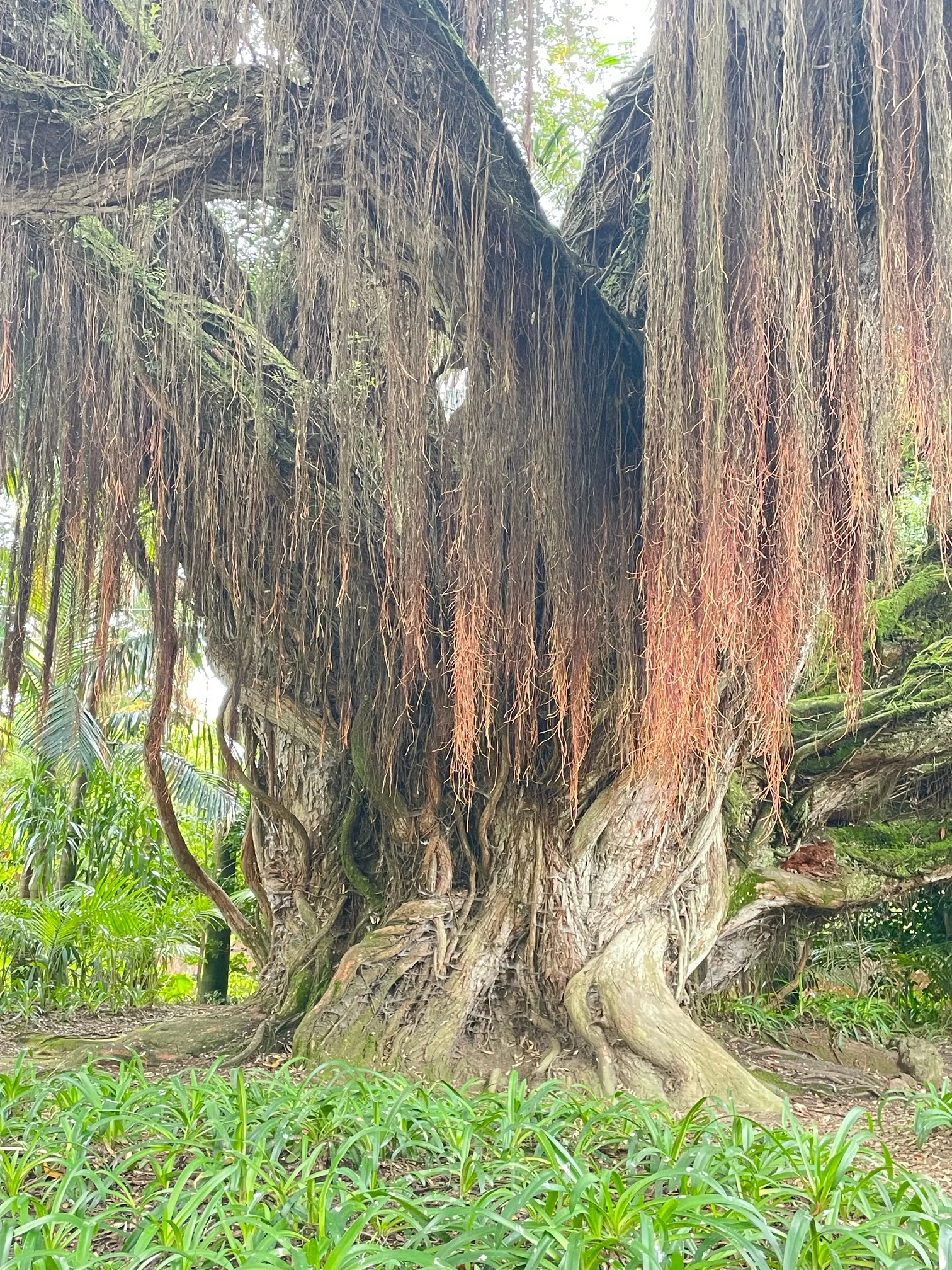 © DAV Berchtesgaden