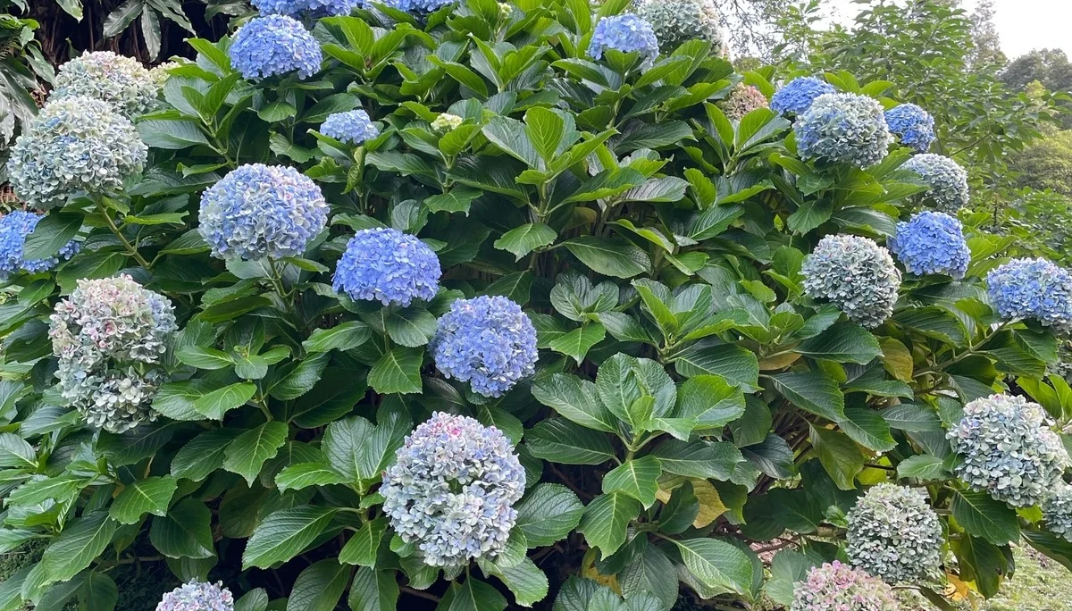 © DAV Berchtesgaden