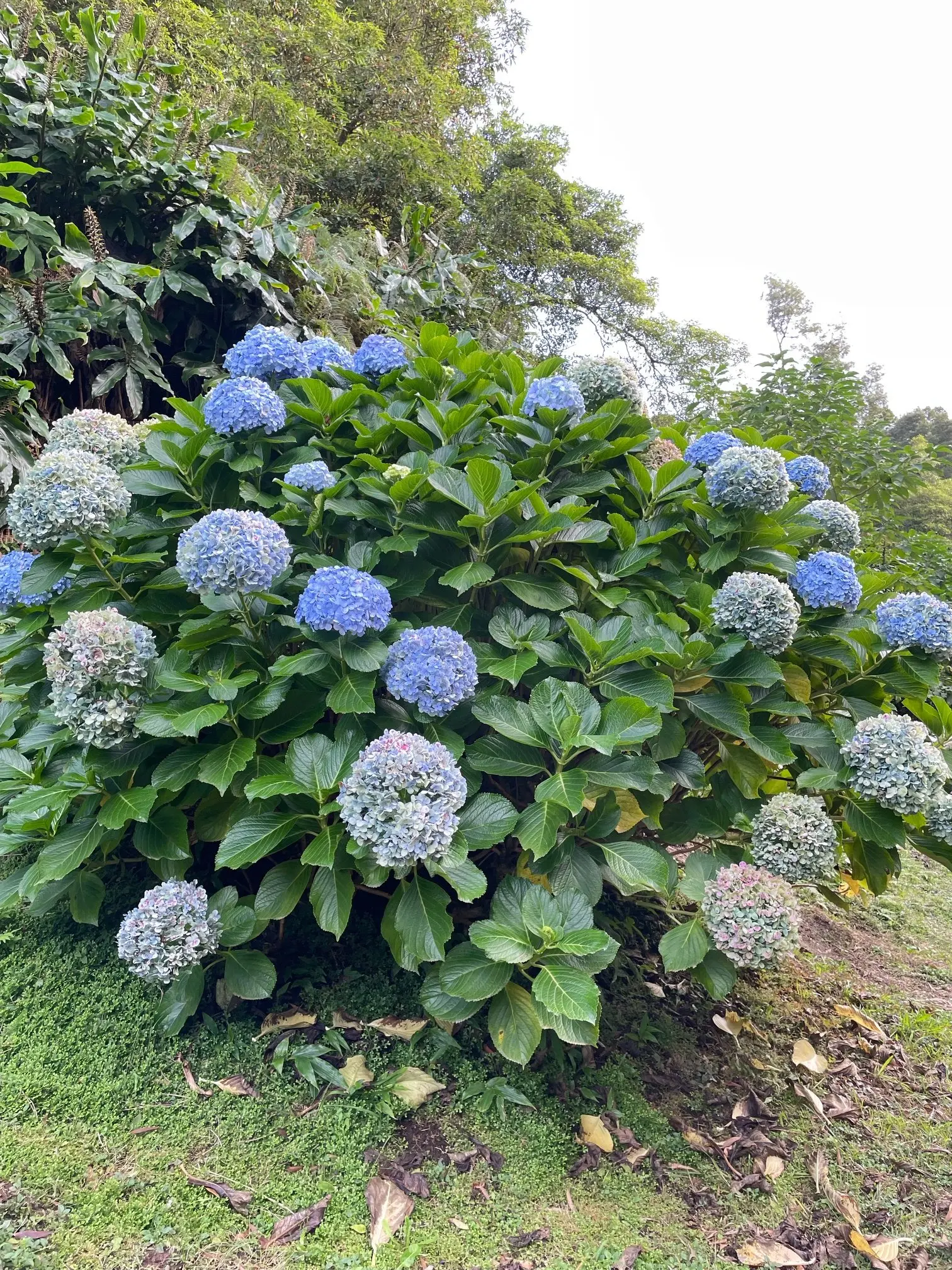 © DAV Berchtesgaden