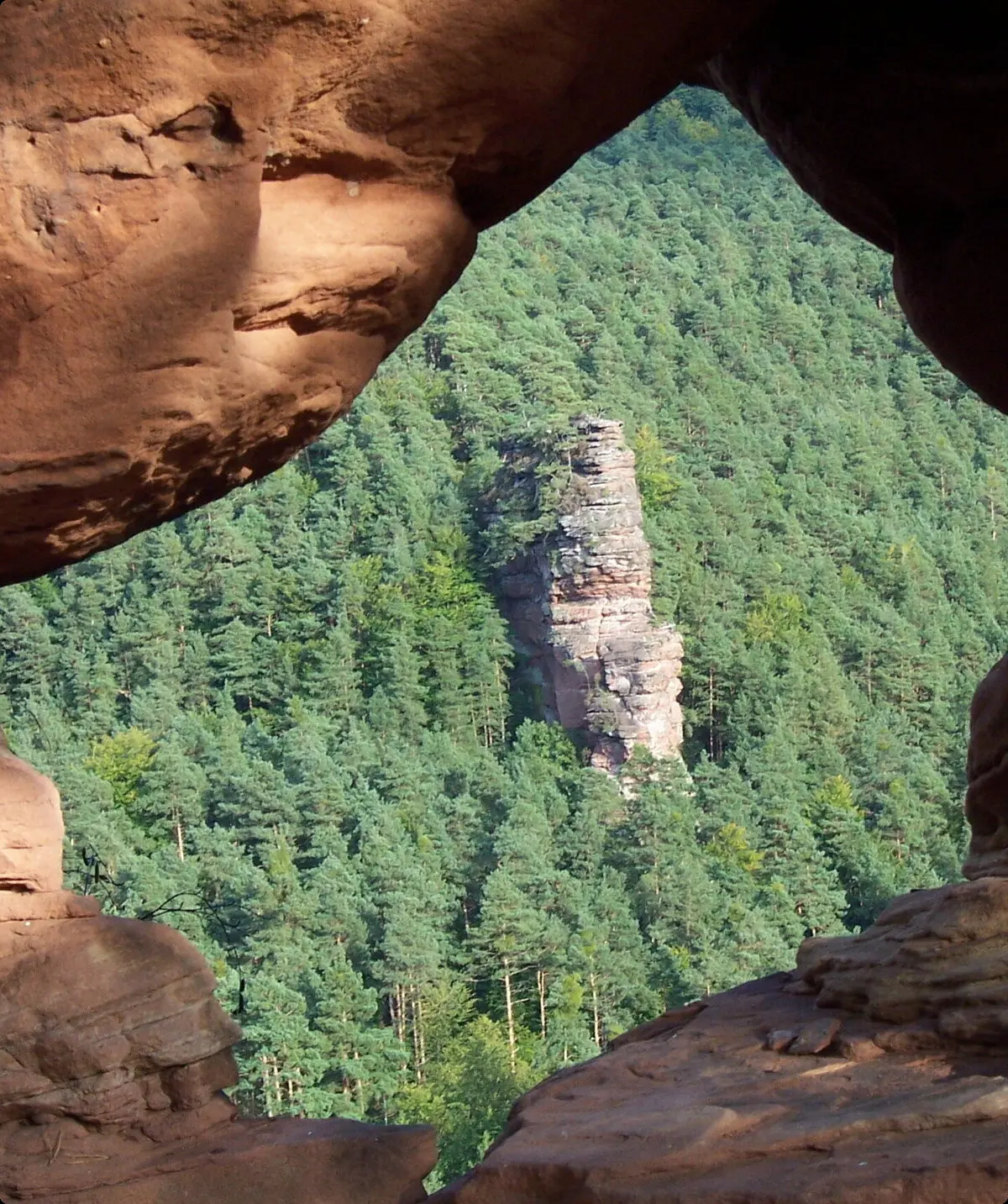 Blick über ein Loch im Feld auf den Glasfelsen im Pfälzerwald. | © DAV/Markus Maier